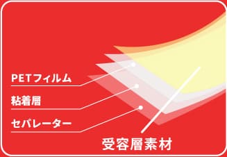 フィルムラベル解説1